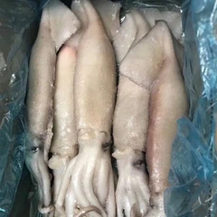 Κατεψυγμένο Καλαμάρι